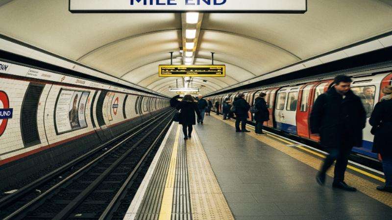 The-Council-of-Mosques