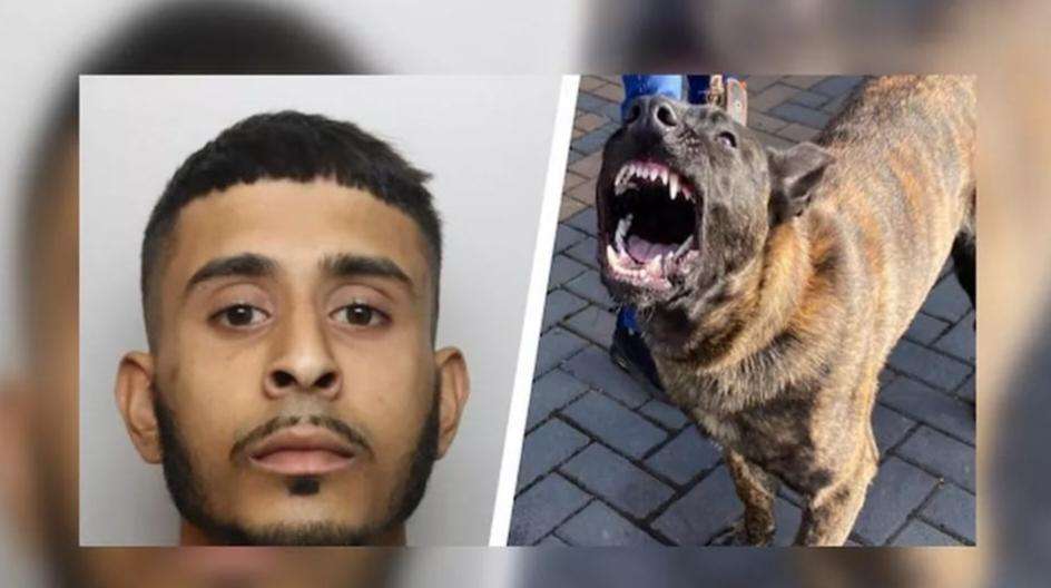 The-Council-of-Mosques