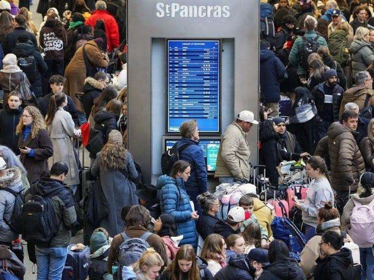 The-Council-of-Mosques