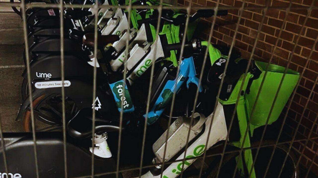 The-Council-of-Mosques