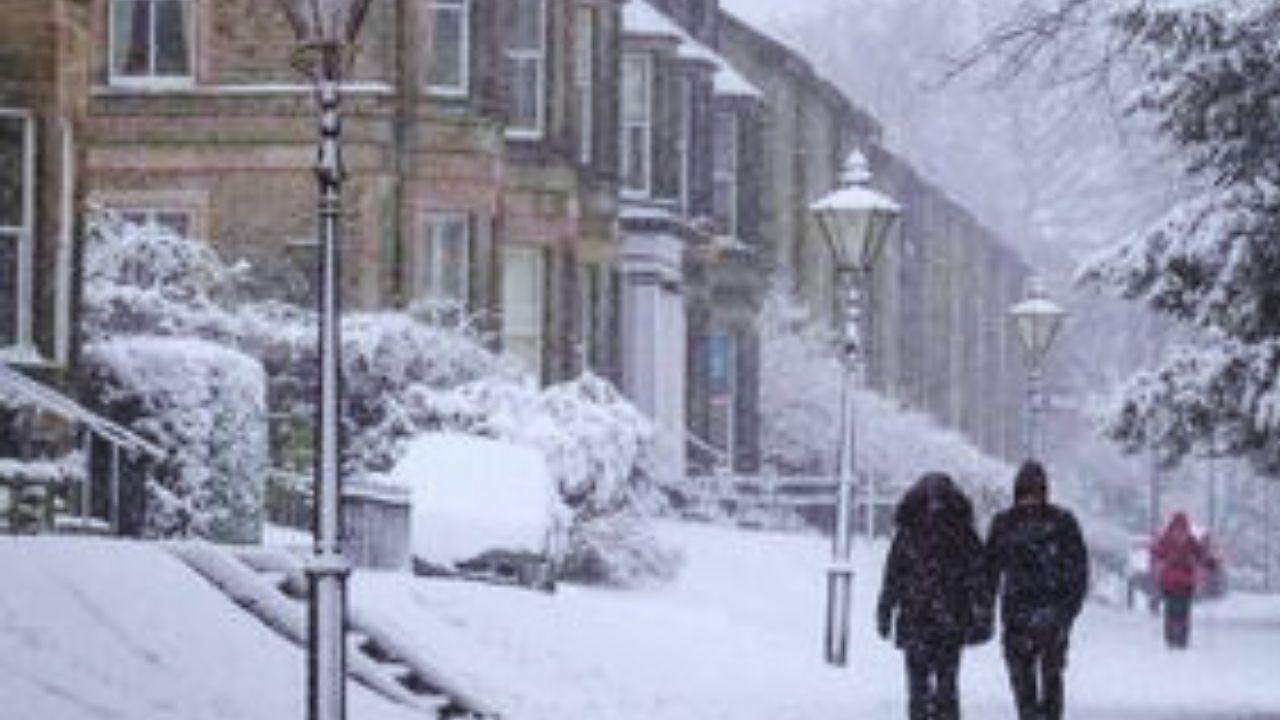 The-Council-of-Mosques