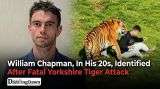William Chapman, In His 20s, Identified After Fatal Yorkshire Tiger Attack