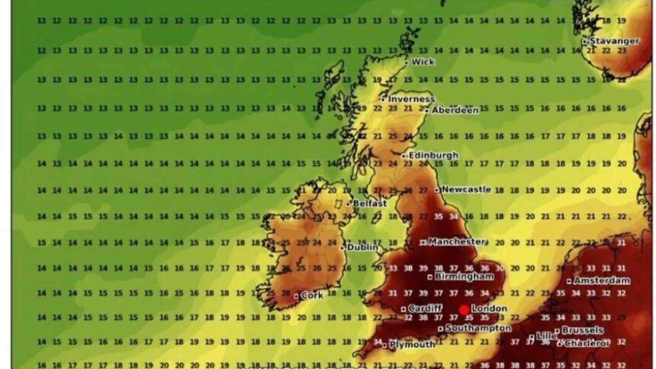 The-Council-of-Mosques