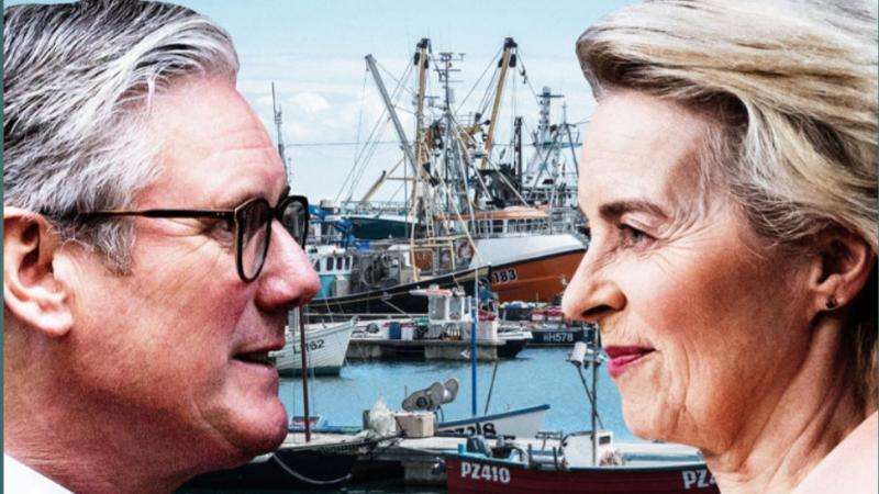 The-Council-of-Mosques