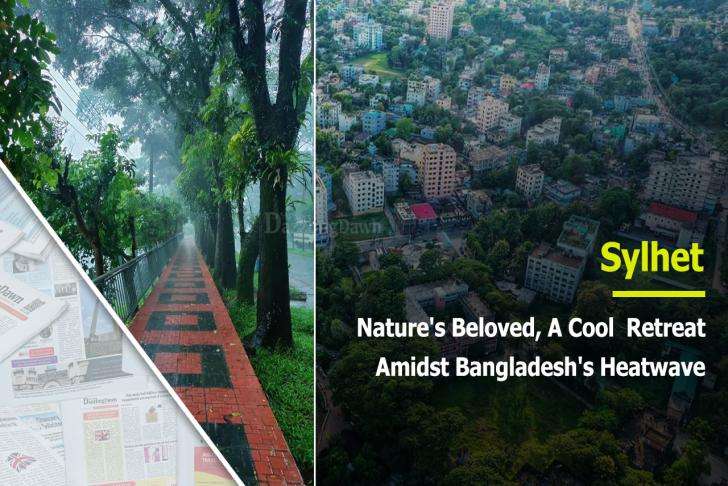 The-Council-of-Mosques