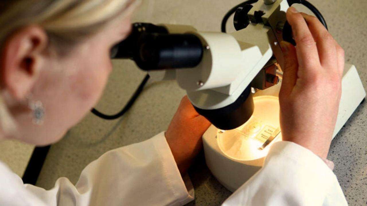 The-Council-of-Mosques