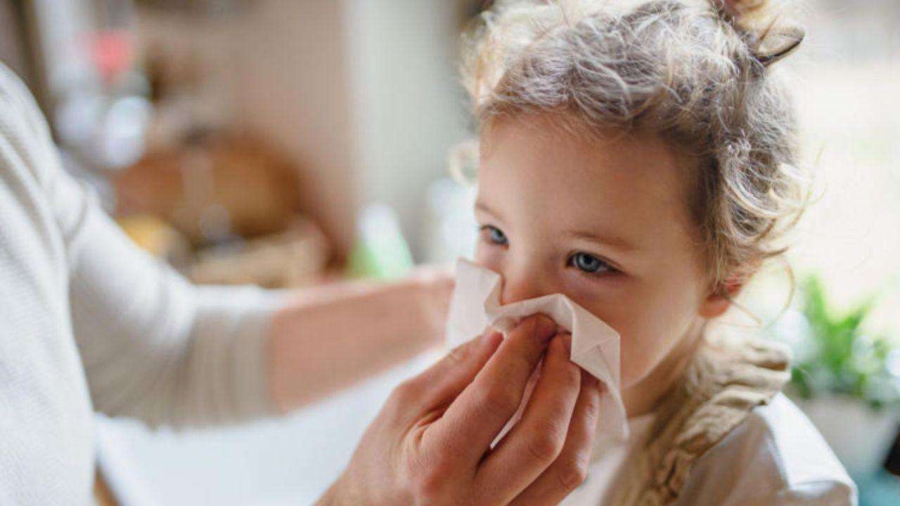 The-Council-of-Mosques