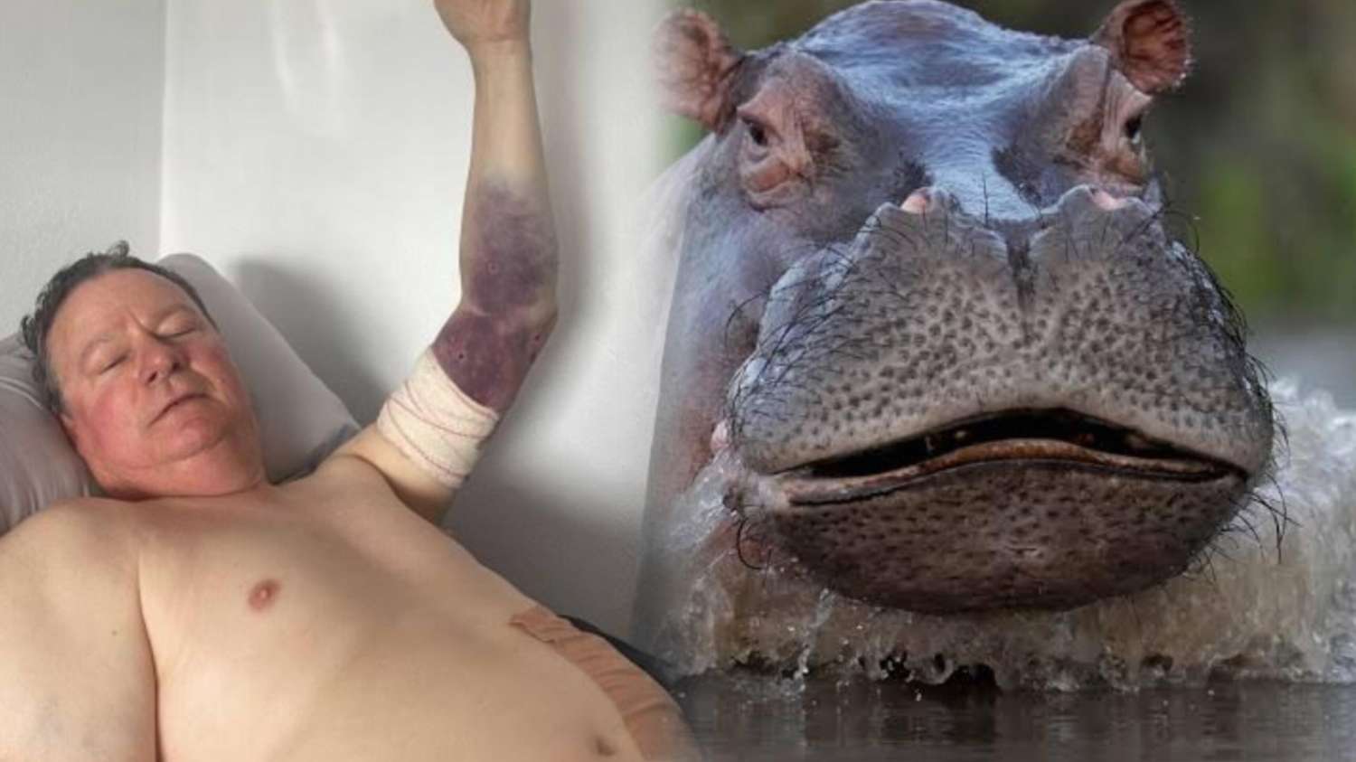 The-Council-of-Mosques