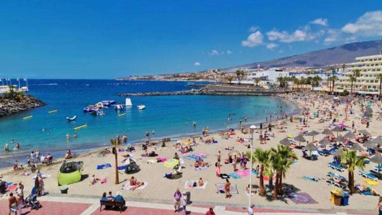 The-Council-of-Mosques