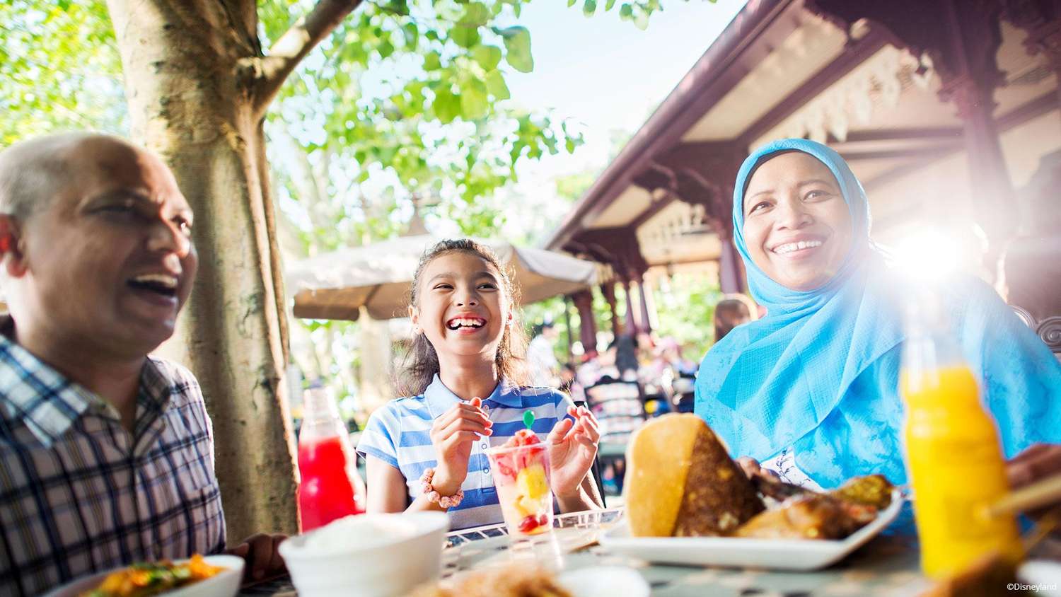 The-Council-of-Mosques