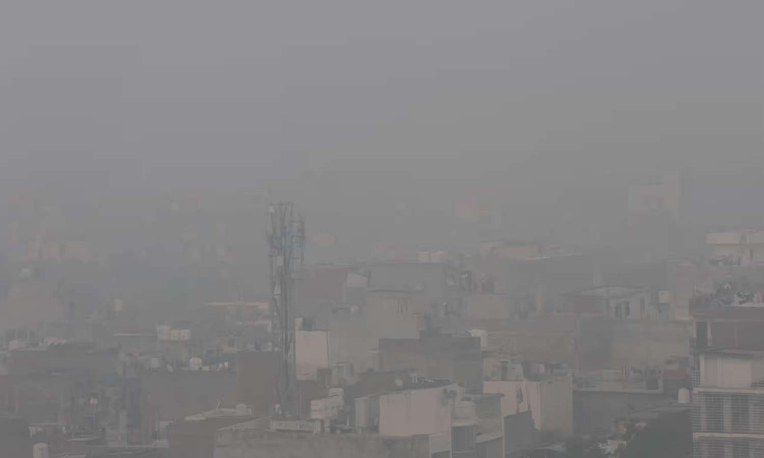 The-Council-of-Mosques