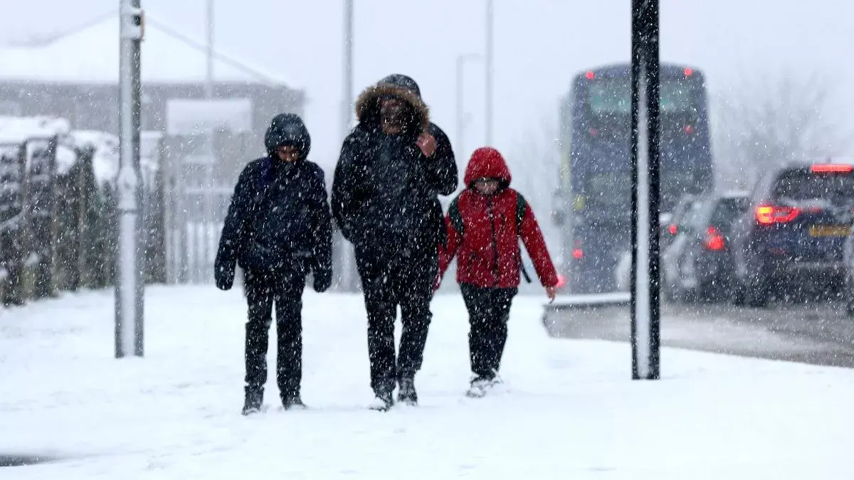 The-Council-of-Mosques