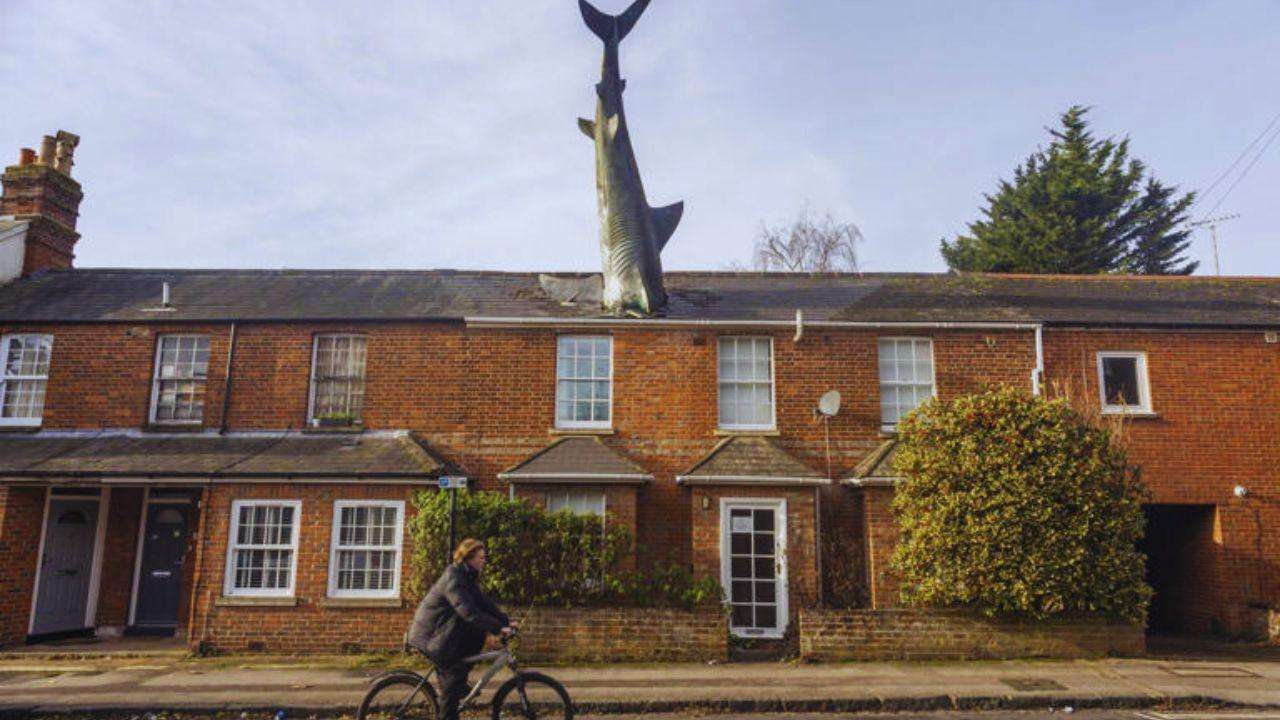 The-Council-of-Mosques