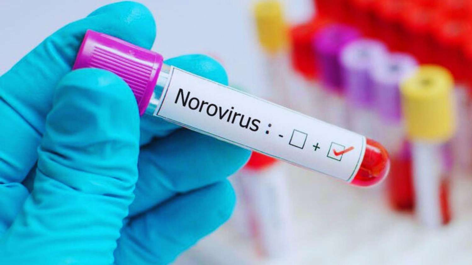 The-Council-of-Mosques