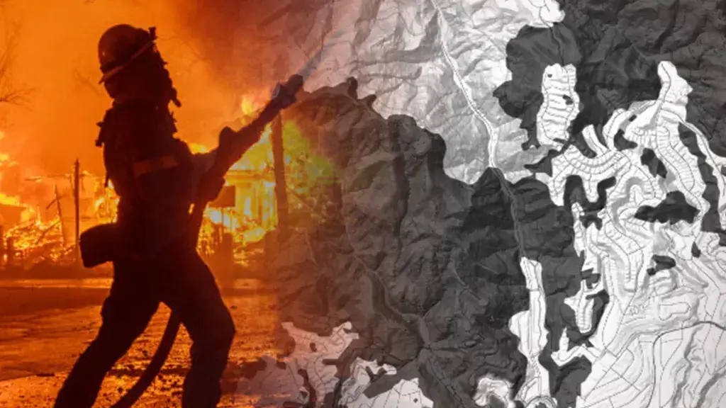 The-Council-of-Mosques