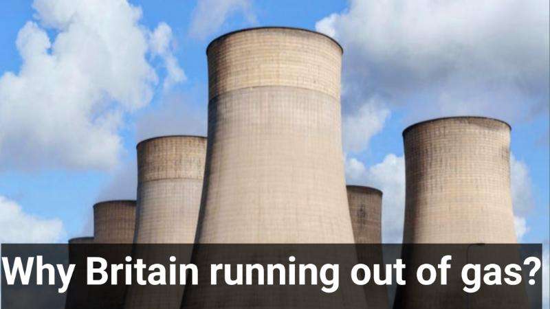 The-Council-of-Mosques