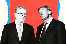 The-Council-of-Mosques