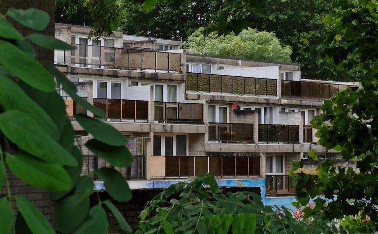 The-Council-of-Mosques