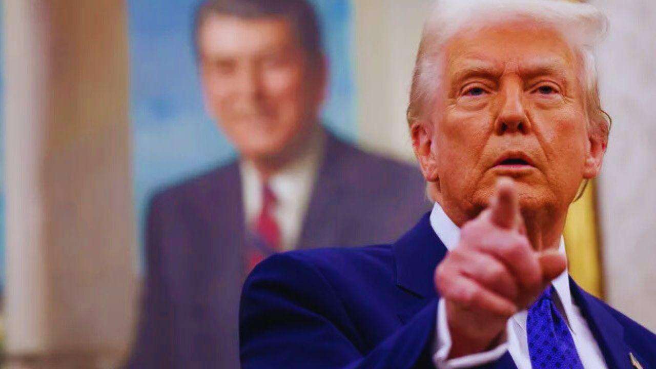 The-Council-of-Mosques