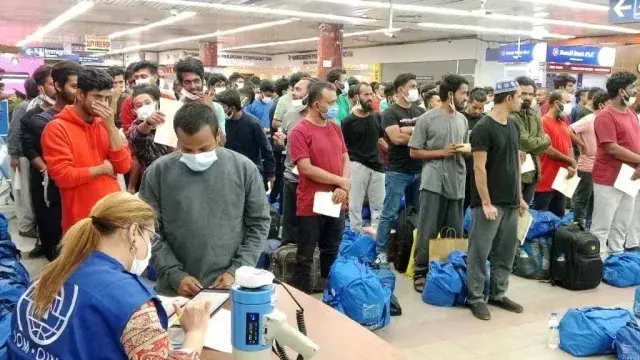 The-Council-of-Mosques