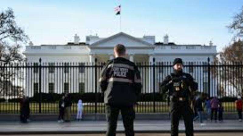 The-Council-of-Mosques