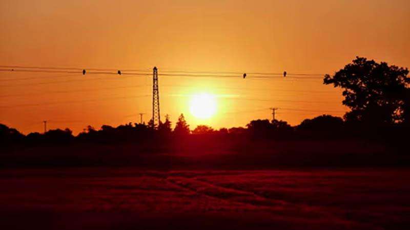 The-Council-of-Mosques