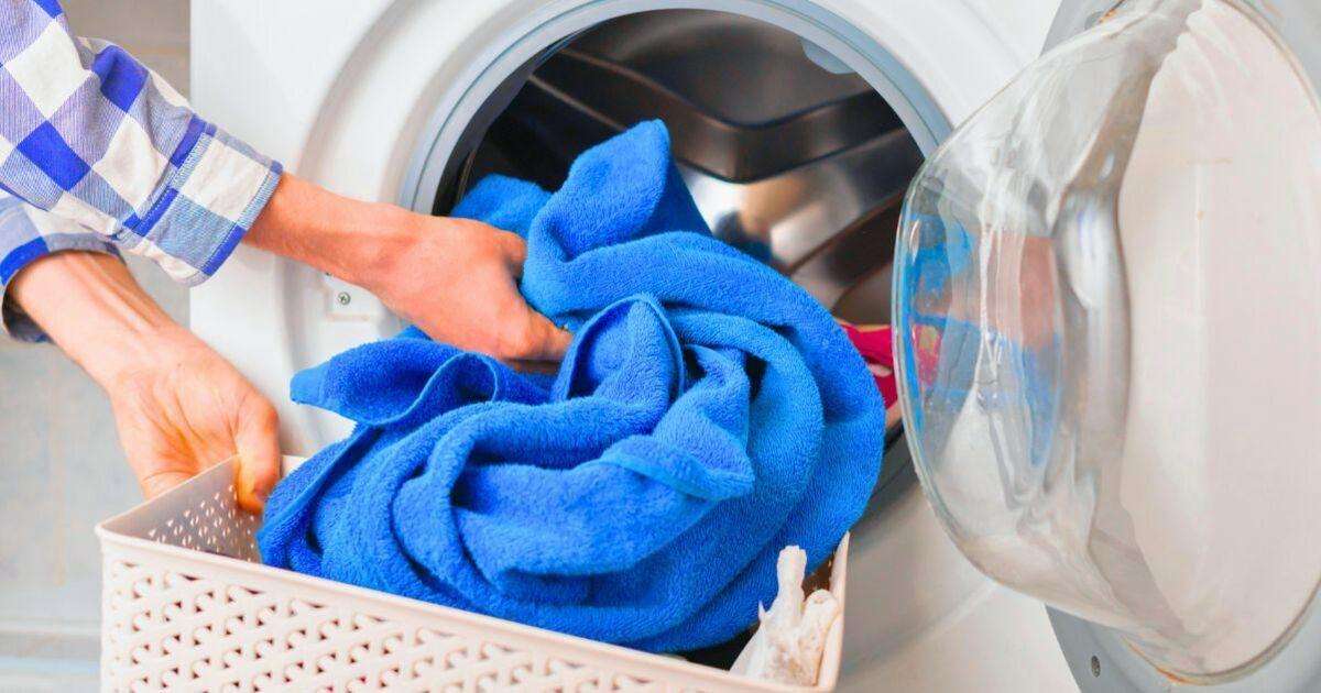 The-Council-of-Mosques