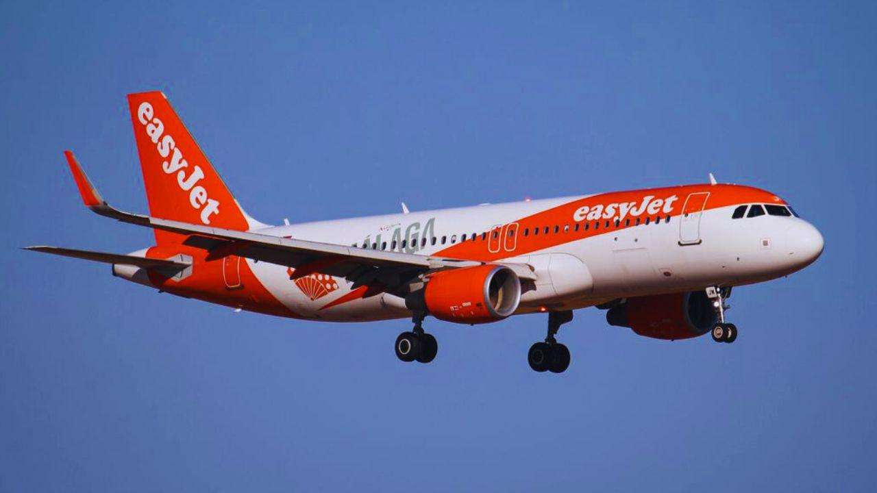 The-Council-of-Mosques