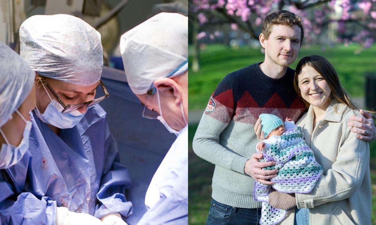 The-Council-of-Mosques