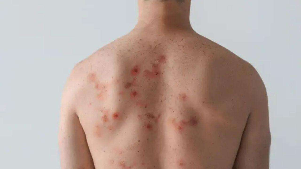 The-Council-of-Mosques