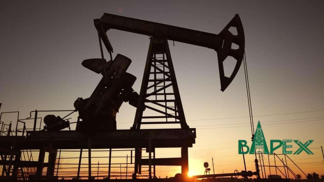 The-Council-of-Mosques