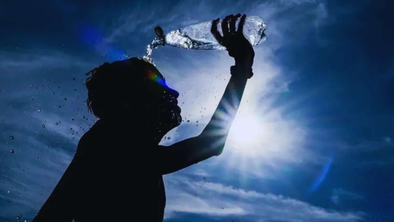 The-Council-of-Mosques